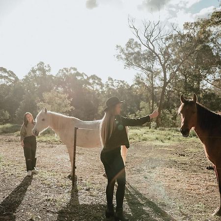 Hunter Valley Retreat Quorrobolong Dış mekan fotoğraf