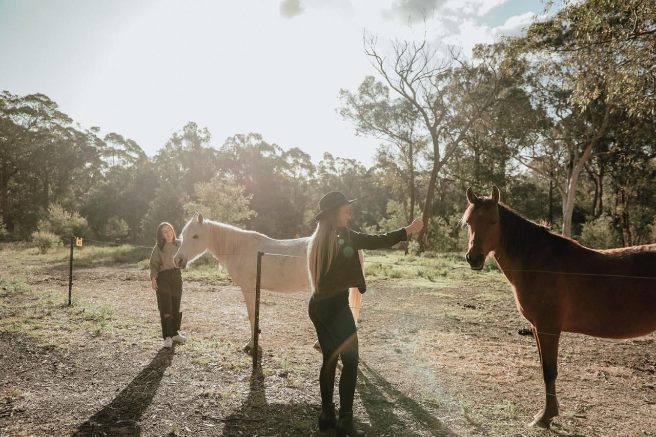 Hunter Valley Retreat Quorrobolong Dış mekan fotoğraf