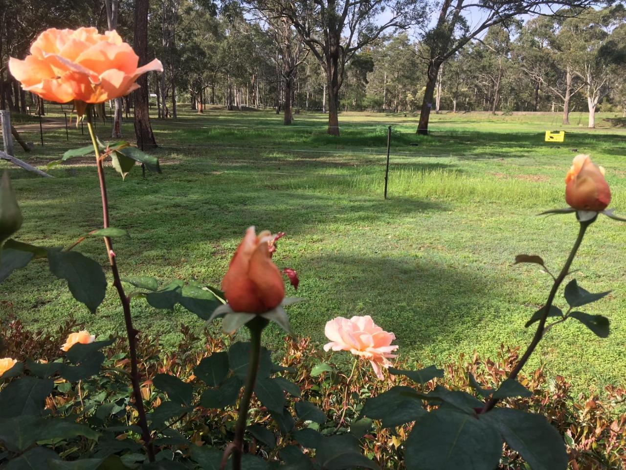 Hunter Valley Retreat Quorrobolong Dış mekan fotoğraf