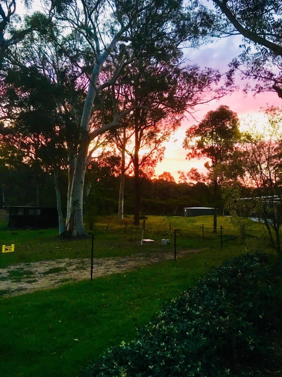 Hunter Valley Retreat Quorrobolong Dış mekan fotoğraf