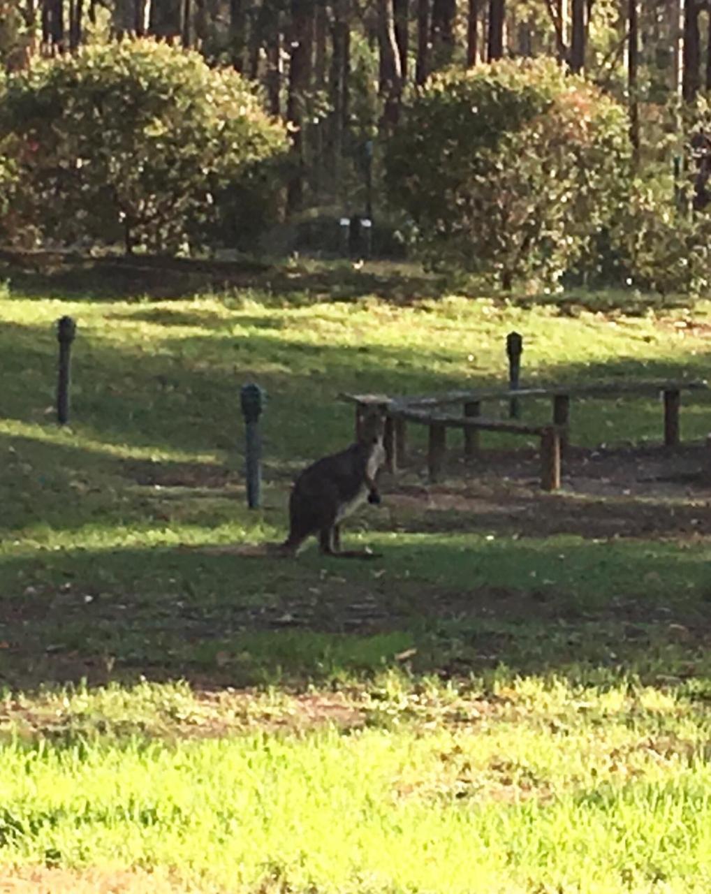 Hunter Valley Retreat Quorrobolong Dış mekan fotoğraf